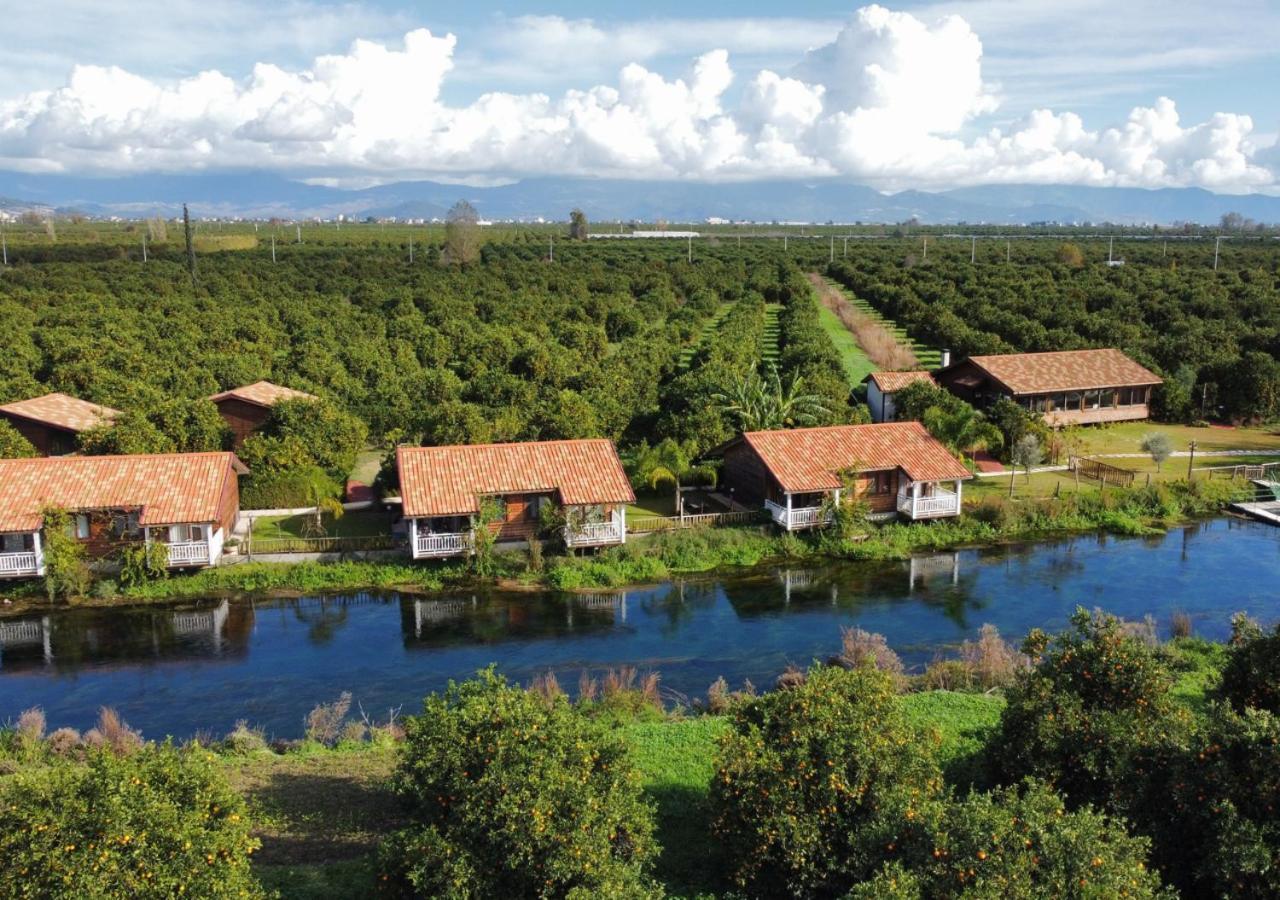 Penzion Turkuazkoey Finike Exteriér fotografie